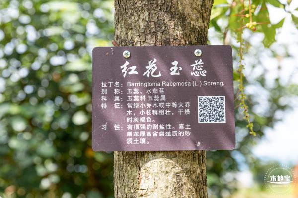 禾塘湿地园2021