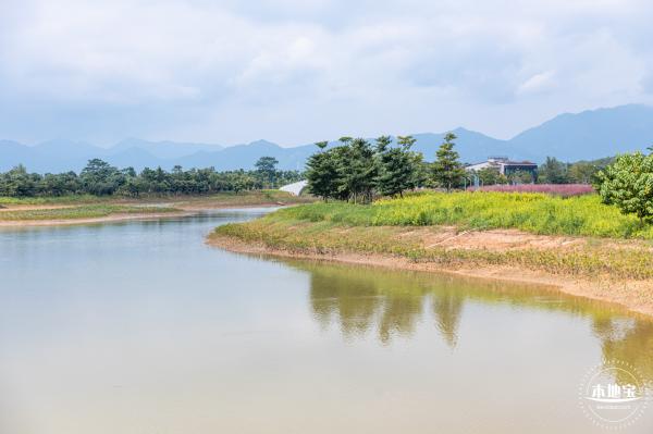 禾塘湿地园2021