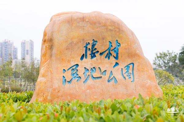 楼村湿地公园向日葵