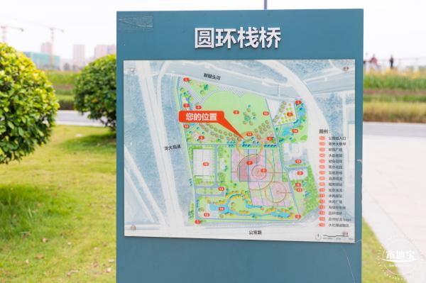 楼村湿地公园向日葵