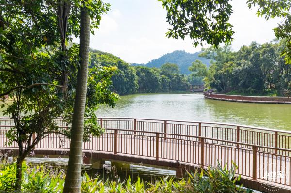 平湖生态园