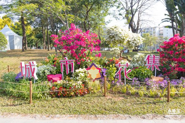 2021深圳簕杜鹃花展