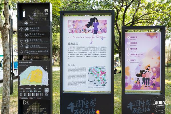 2021深圳簕杜鹃花展