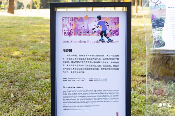 2021深圳簕杜鹃花展