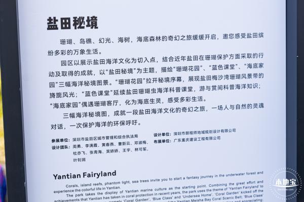 2021深圳簕杜鹃花展