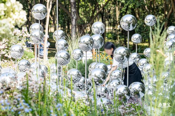 2021深圳簕杜鹃花展