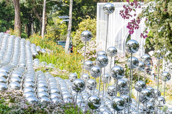 2021深圳簕杜鹃花展