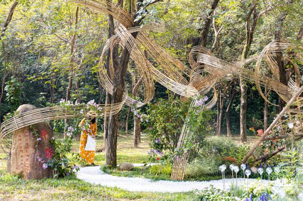 2021深圳簕杜鹃花展