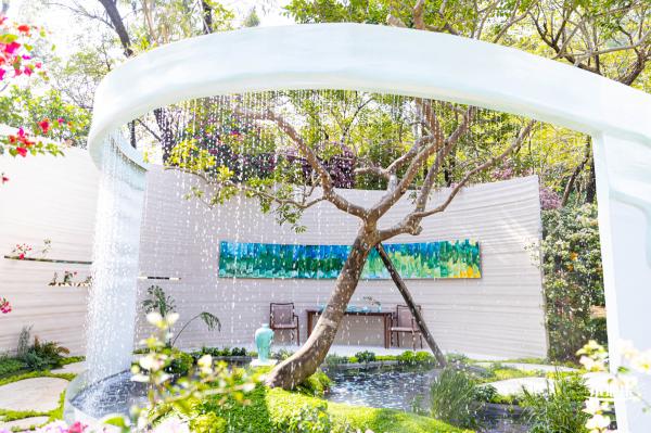 2021深圳簕杜鹃花展