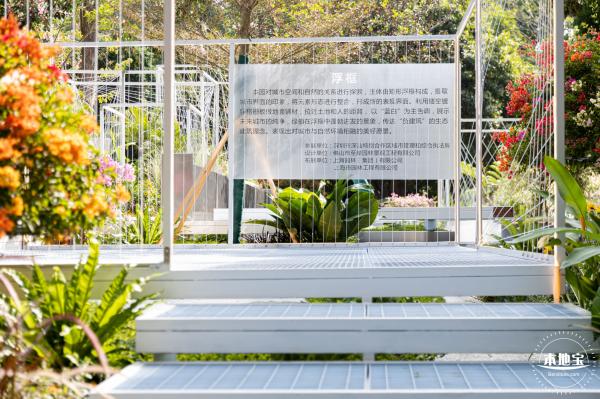 2021深圳簕杜鹃花展