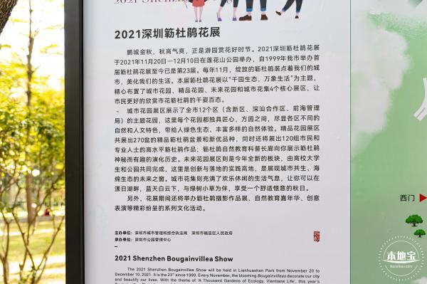 2021深圳簕杜鹃花展
