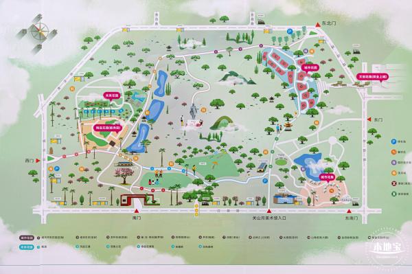 2021深圳簕杜鹃花展