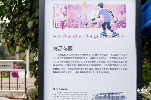 2021深圳簕杜鹃花展