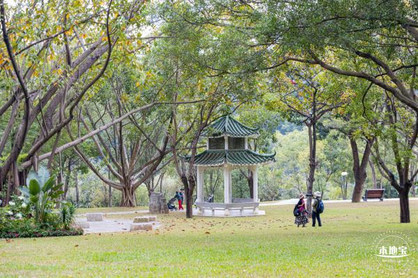 2021深圳簕杜鹃花展