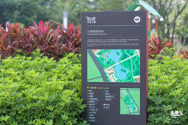 香蜜公园玫瑰园花海