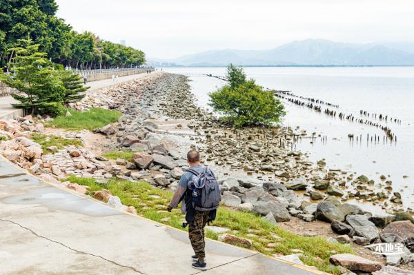 红树林自然保护区