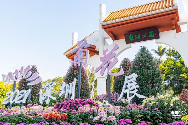 2021深圳菊花展-东湖公园