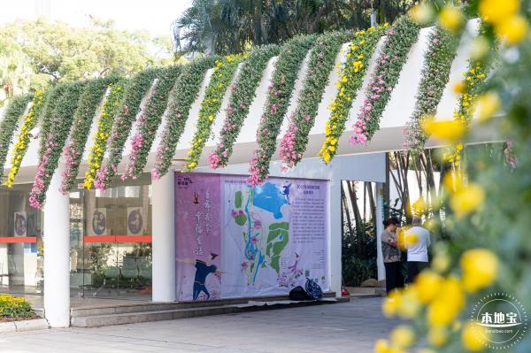 2021深圳菊花展-东湖公园