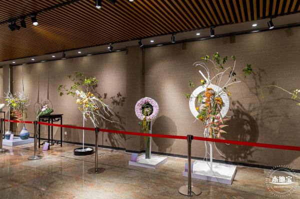 2021深圳菊花展-东湖公园