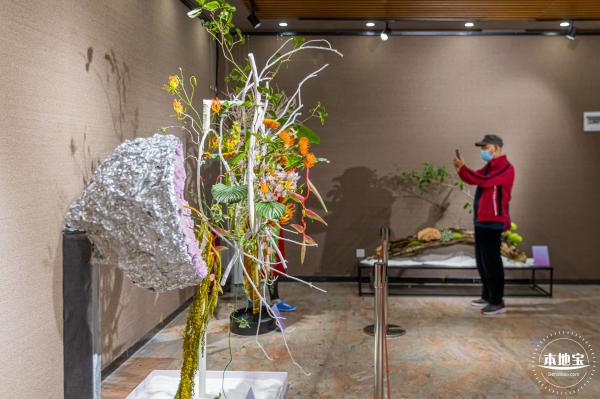 2021深圳菊花展-东湖公园