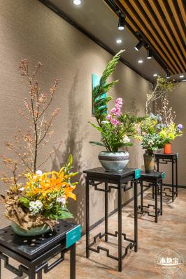 2021深圳菊花展-东湖公园