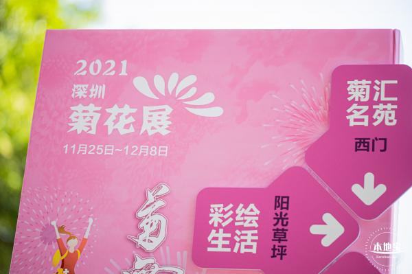 2021深圳菊花展-东湖公园