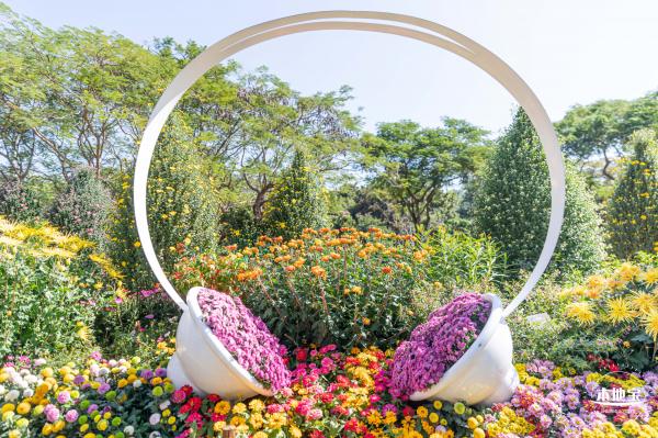 2021深圳菊花展-东湖公园
