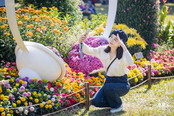 2021深圳菊花展-东湖公园