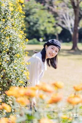 2021深圳菊花展-东湖公园