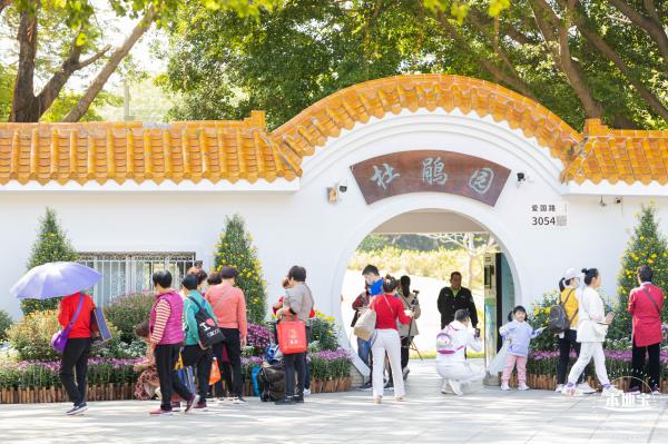 2021深圳菊花展-东湖公园