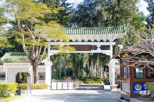 2021深圳菊花展-东湖公园