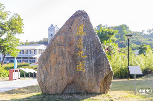 簕杜鹃谷