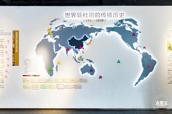 簕杜鹃科普馆