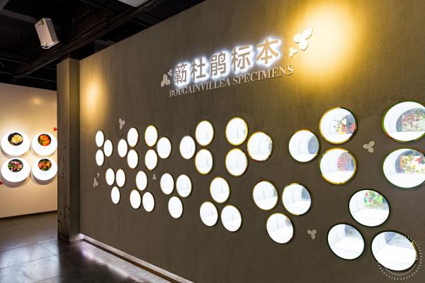 簕杜鹃科普馆