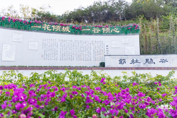 簕杜鹃谷