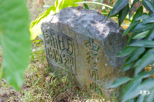 广东内伶仃福田国家级自然保护区