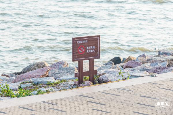深圳湾公园候鸟季