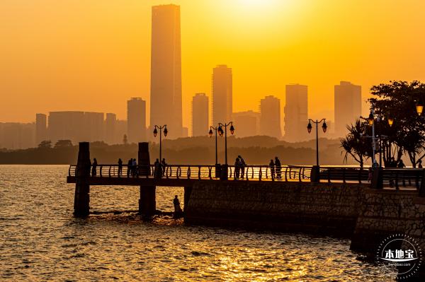 深圳湾公园候鸟季