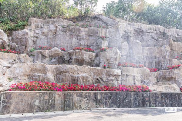 翠岭湖水库公园