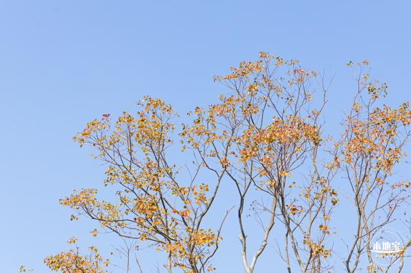 翠岭湖水库公园
