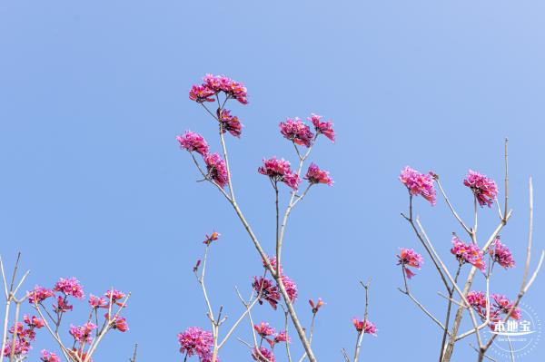 翠岭湖水库公园