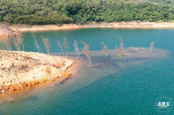 翠岭湖水库公园