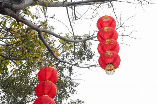 新春气息