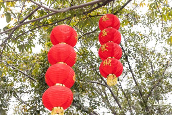 新春气息