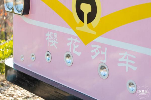 华英路樱花景观公园