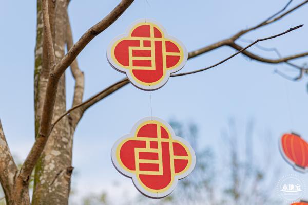 元宵佳节