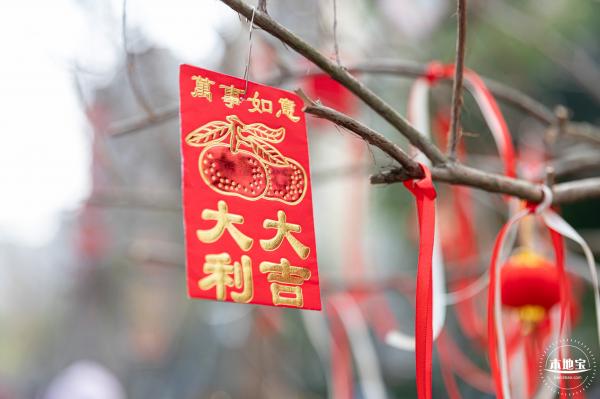 元宵佳节
