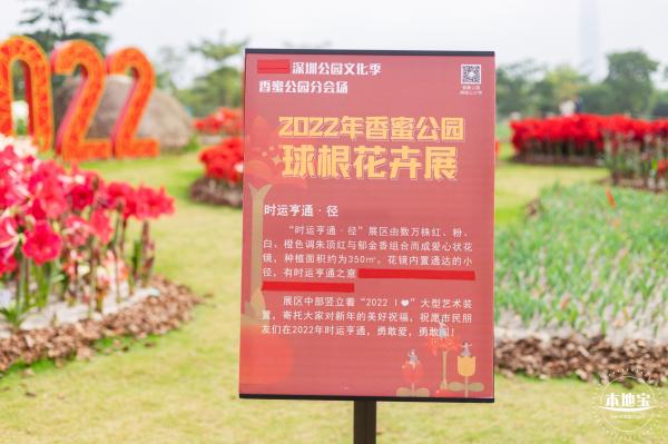 香蜜公园郁金香展