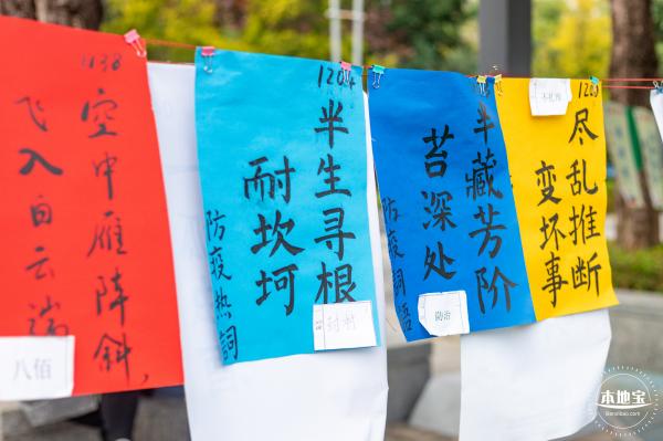 香蜜公园郁金香展