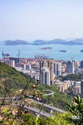 梧桐山